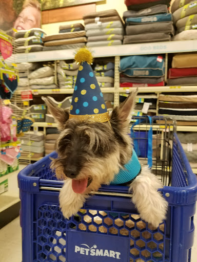 Pet Supply Store «PetSmart», reviews and photos, 6019 Wade Hampton Blvd, Taylors, SC 29687, USA