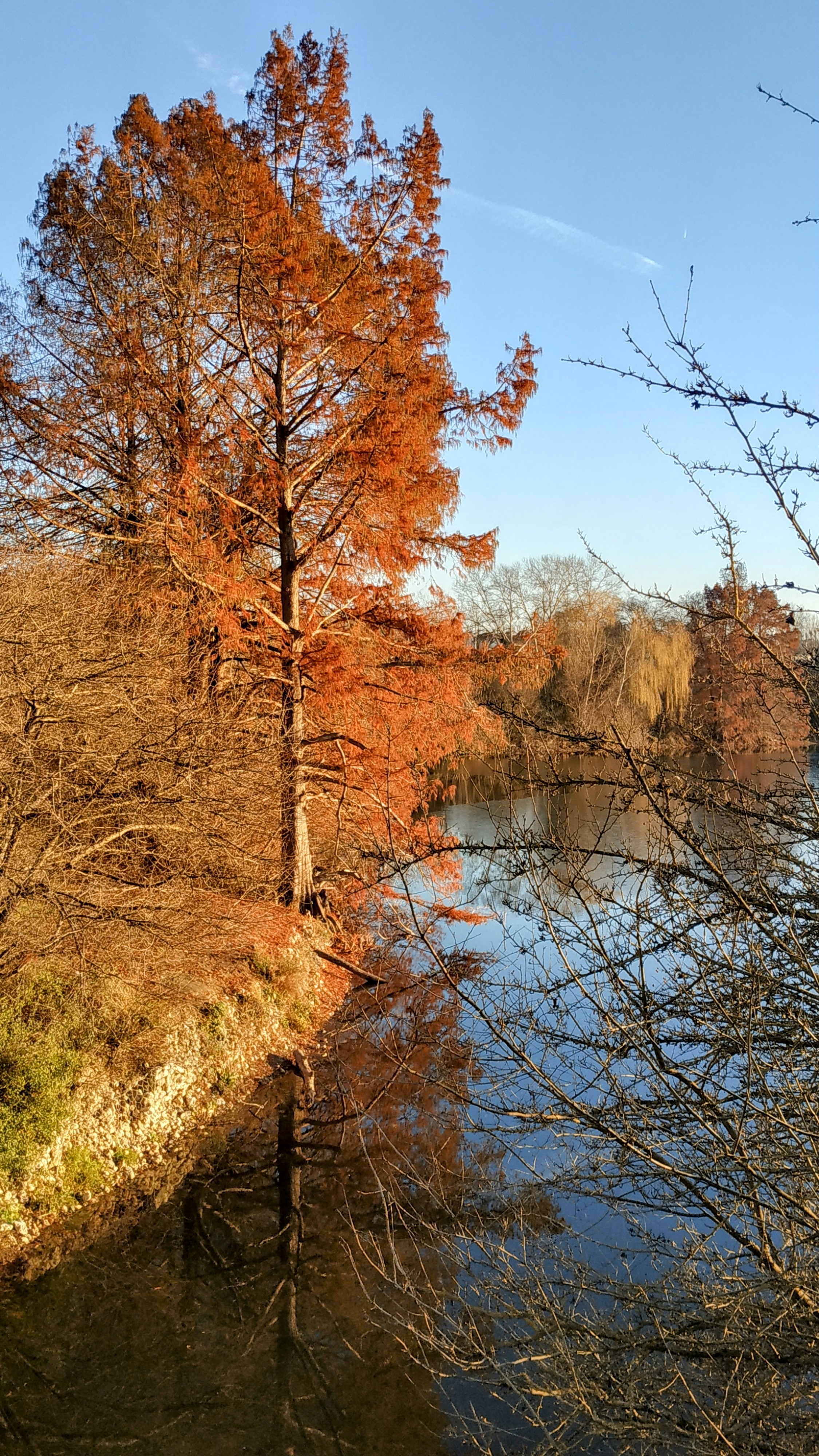 Photo n° 3 de l'avis de The.a fait le 13/12/2022 à 17:11