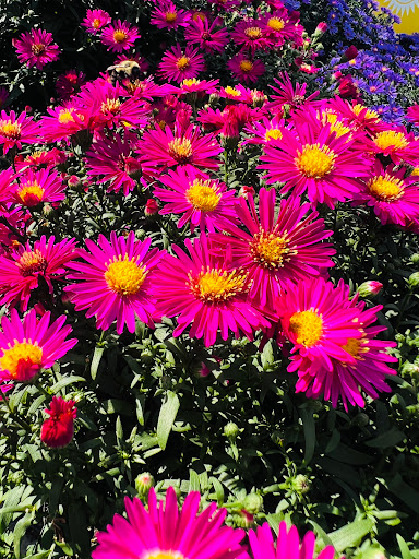 Home Improvement Store «The Home Depot», reviews and photos, 2699 Henry St, Muskegon, MI 49441, USA