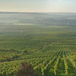 Photo n°1 de l'avis de Gerard.e fait le 26/09/2023 à 11:38 sur le  Hofgut Wißberg - Das Weinberghotel à Sankt Johann