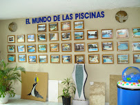 American Swimming Pool Inc - Photo 7 - Car repair in , San Juan