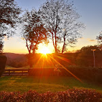 Photo n°1 de l'avis de Josh. fait le 21/10/2023 à 16:13 sur le  Hotel Pension Fernblick à Sankt Andreasberg