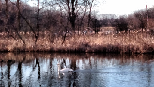 Nature Preserve «Asylum Lake Preserve», reviews and photos, 3836 S Drake Rd, Kalamazoo, MI 49008, USA