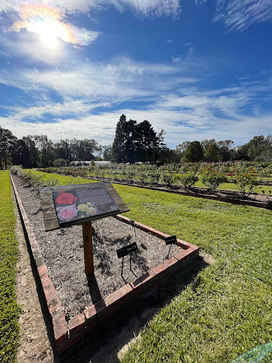 Museum «Burden Museum & Gardens», reviews and photos, 4560 Essen Ln, Baton Rouge, LA 70809, USA