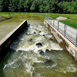 Tisza Tavi Hallépcső