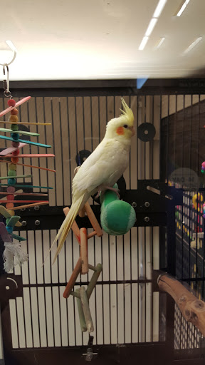 Pet Supply Store «PetSmart», reviews and photos, 1810 Cumming Hwy, Canton, GA 30114, USA