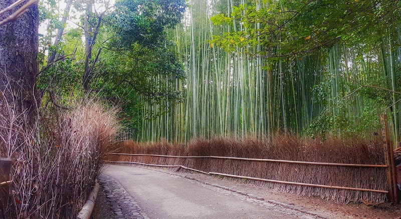 竹の径