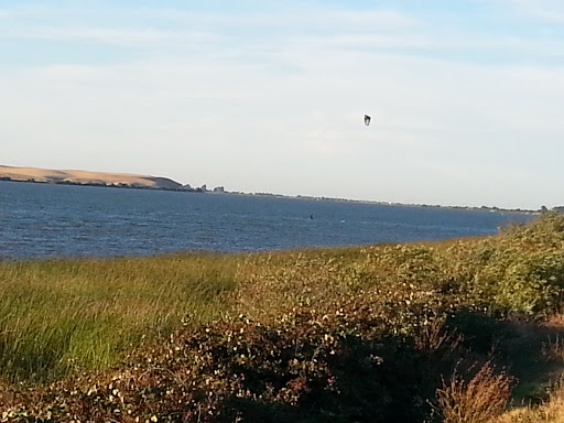 Sporting Goods Store «Delta Windsurf Co», reviews and photos, 3729 W Sherman Island Rd, Rio Vista, CA 94571, USA