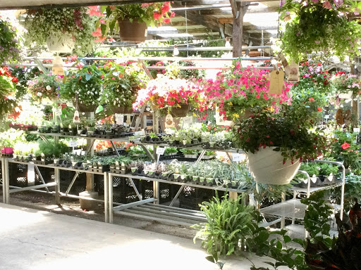 Florist «Sunshine Flowers», reviews and photos, 4509 Rainbow Blvd, Kansas City, KS 66103, USA