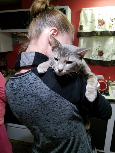 Shopping Mall «Mounds Mall», reviews and photos, 2109 S Scatterfield Rd, Anderson, IN 46016, USA