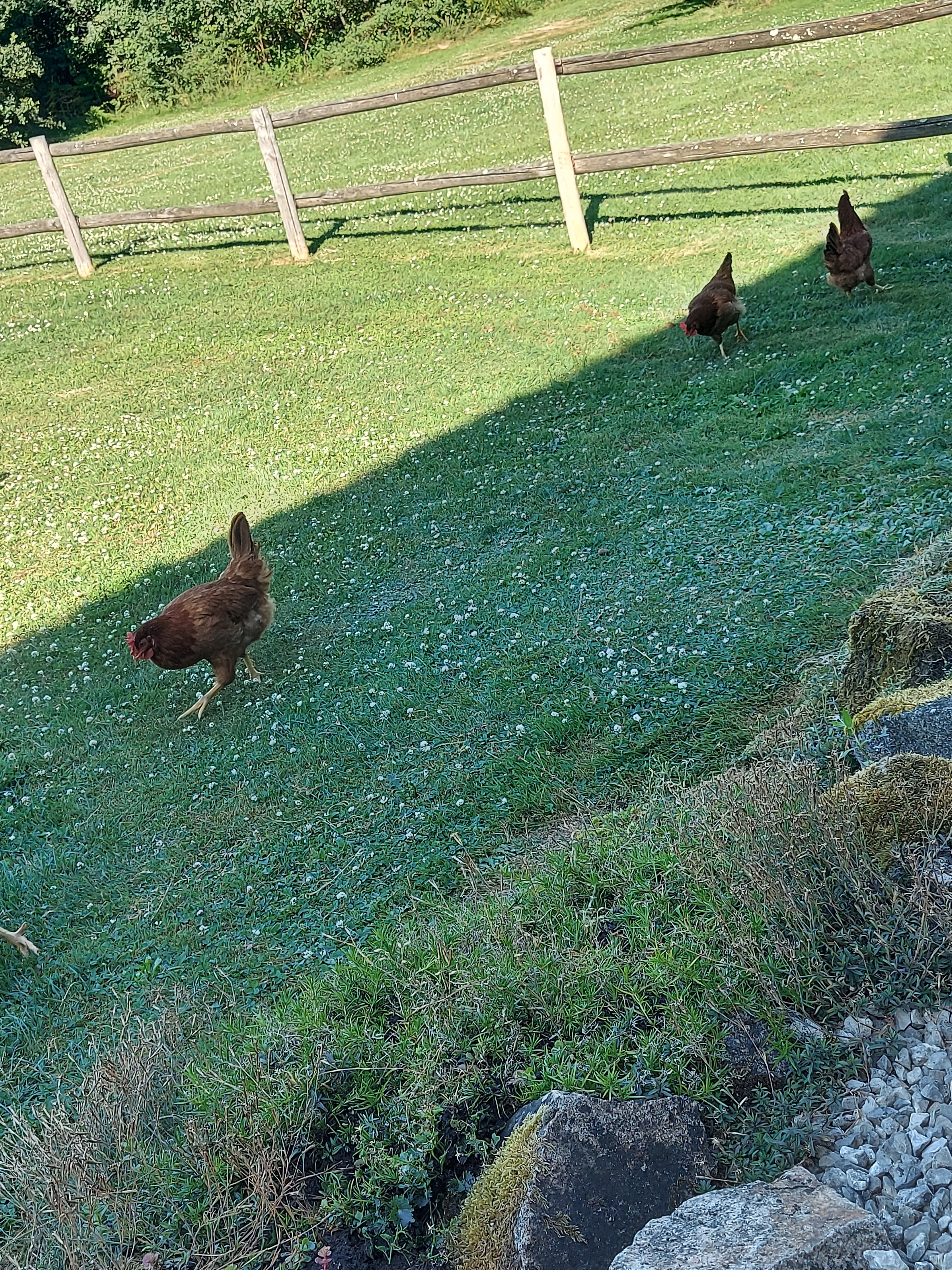 Photo n° 5 de l'avis de Nathalie.a fait le 15/07/2022 à 18:29