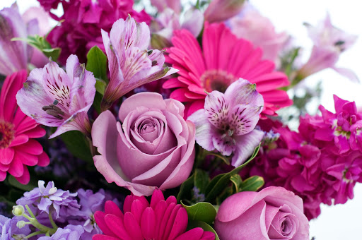 Florist «Cactus Flower Florists», reviews and photos, 4700 N Central Ave, Phoenix, AZ 85012, USA