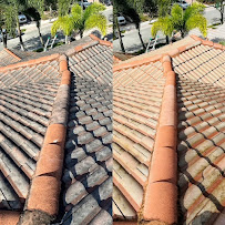 The Roof Cleaning Guy - Photo 2 - Car repair in , Coral Springs
