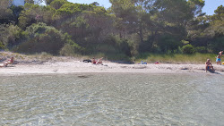 Cantagallina beach'in fotoğrafı doğal alan içinde bulunmaktadır
