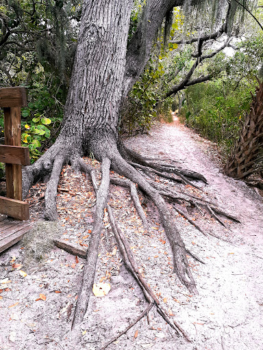 Nature Preserve «Emerson Point Preserve», reviews and photos, 5801 17th St W, Palmetto, FL 34221, USA