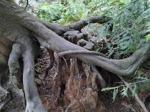 Park «Noble Woods Park», reviews and photos, 475 SE Century Blvd, Hillsboro, OR 97123, USA