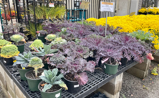 Hardware Store «Ace Hardware», reviews and photos, 119 Beck Ln, Lafayette, IN 47909, USA