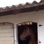 Photo n°1 de l'avis de Marita.c fait le 14/09/2020 à 18:50 sur le  Gästehaus Ermen à Kamp-Lintfort