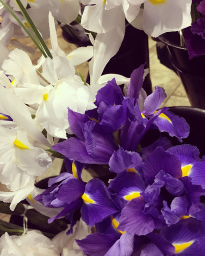 Health Food Store «Grass Roots Natural Foods», reviews and photos, 2030 Dunlap Dr, South Lake Tahoe, CA 96150, USA