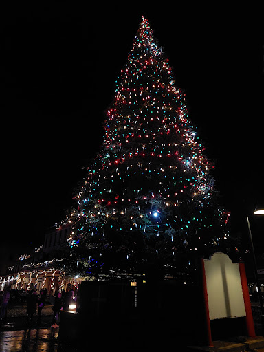 Los Defensores image