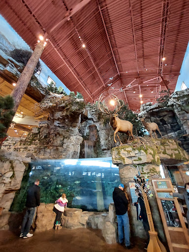 Sporting Goods Store «Bass Pro Shops», reviews and photos, 10000 Bass Pro Blvd, Rossford, OH 43460, USA