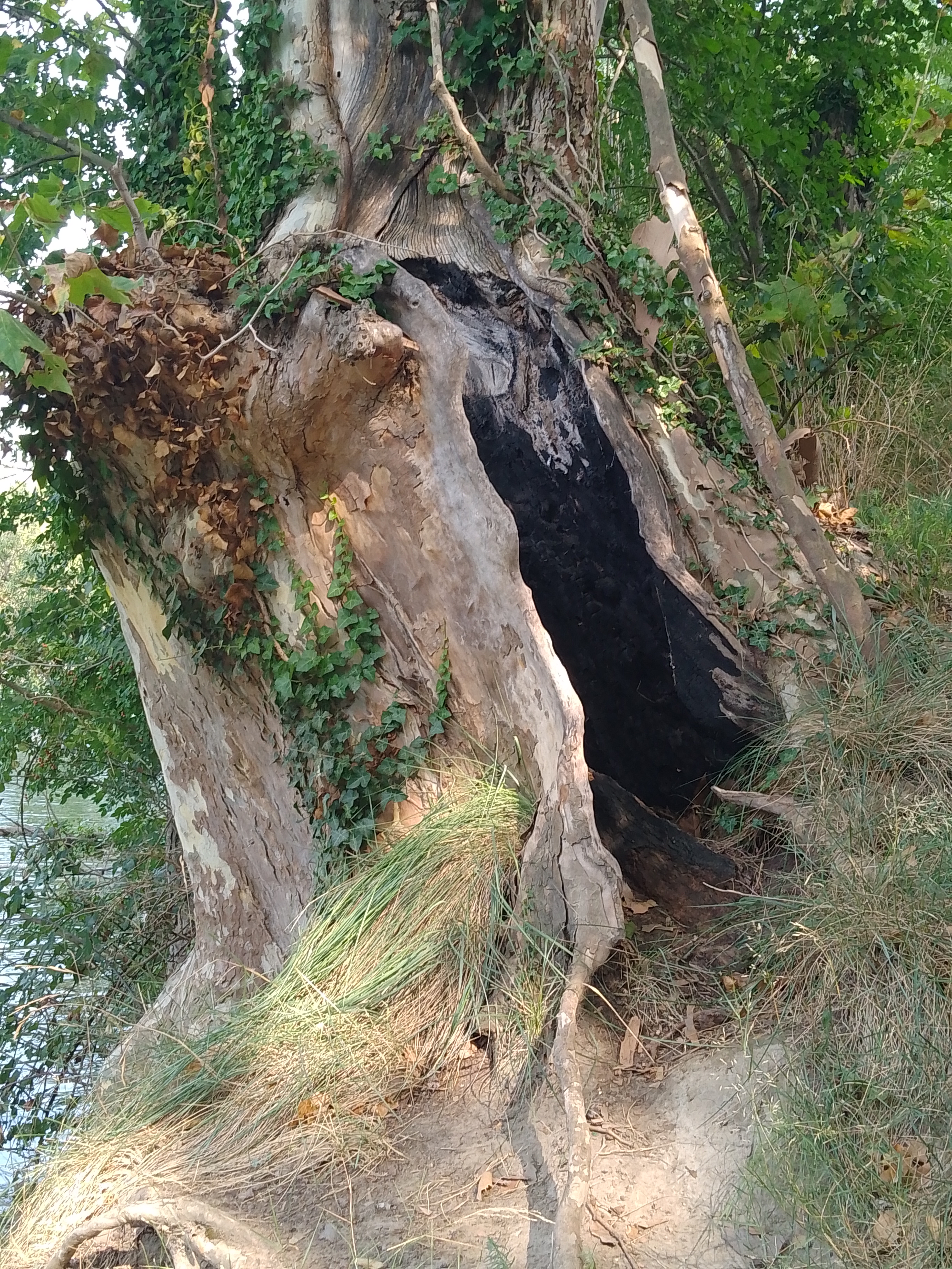 Photo n° 2 de l'avis de Minous.k fait le 30/08/2023 à 14:06