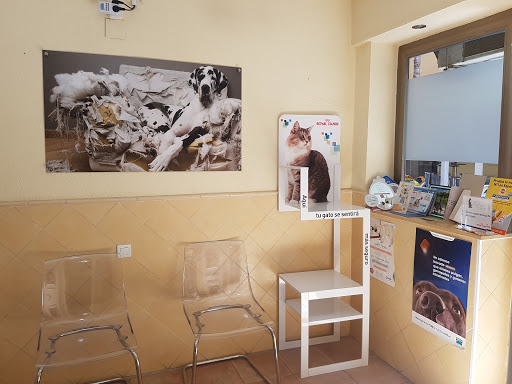 Clínica Veterinaria Kelibia en Almuñécar