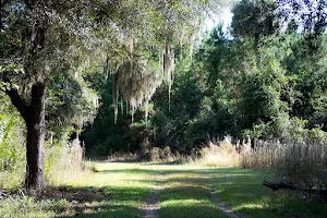 Silver Springs Forest Conservation Area image