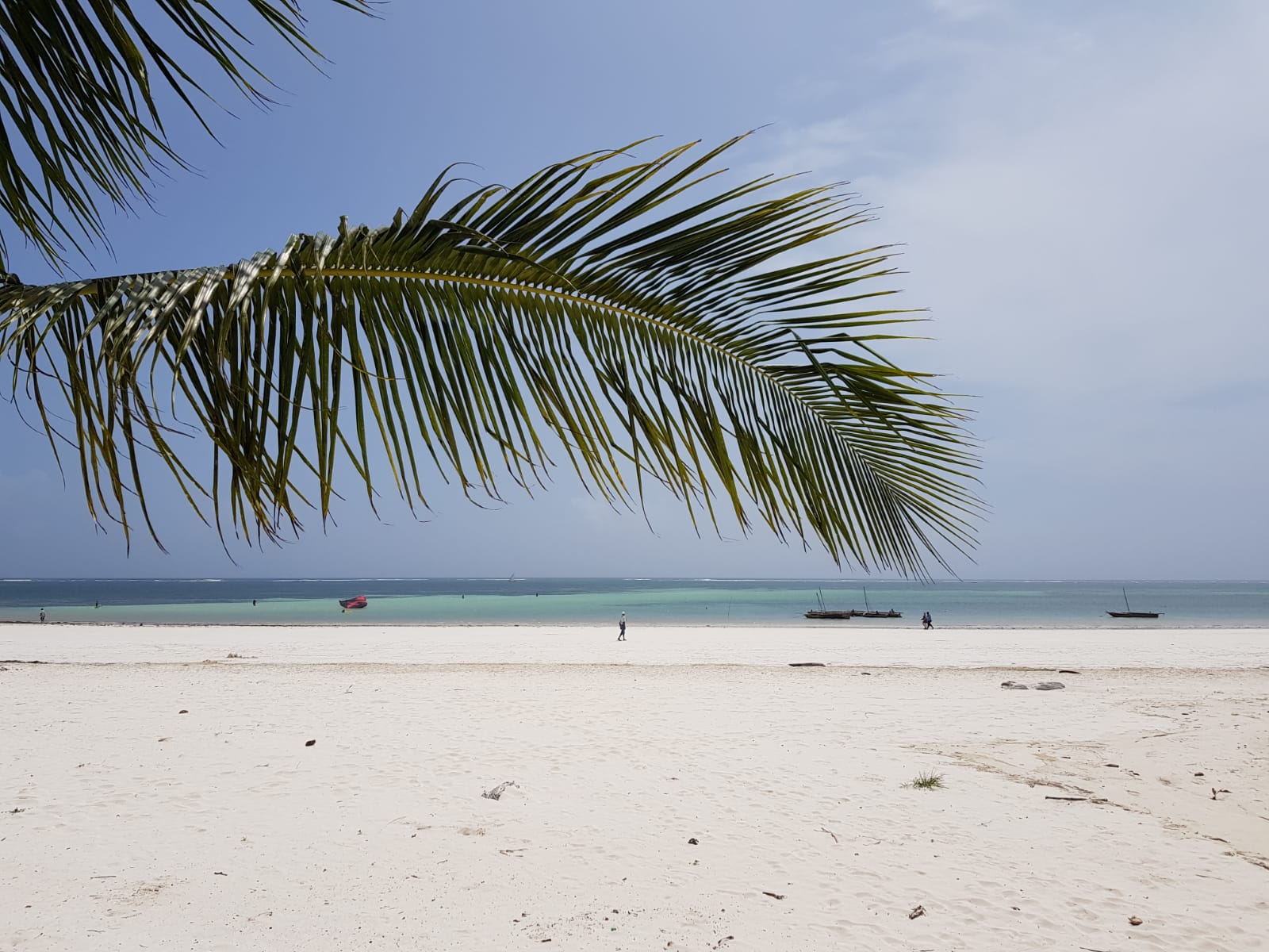 Zdjęcie Plaża Diani z poziomem czystości wysoki