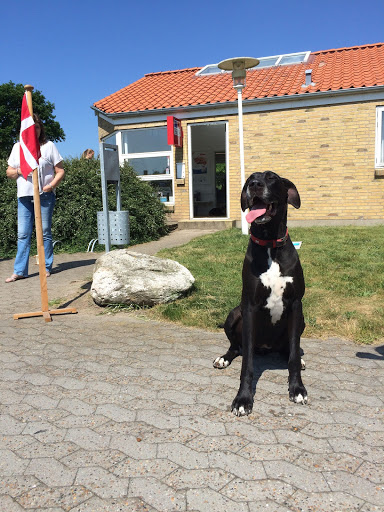 Skærbæk Animal Clinic Veterinarians in Skærbæk, Tønder