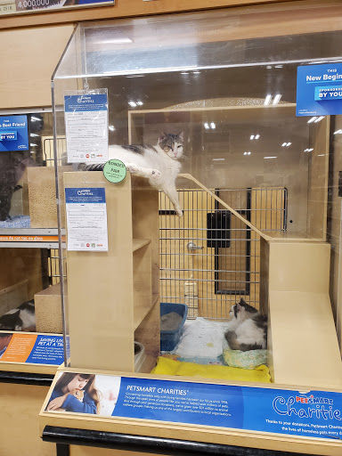 Pet Supply Store «PetSmart», reviews and photos, 10697 E US Hwy 36, Avon, IN 46123, USA