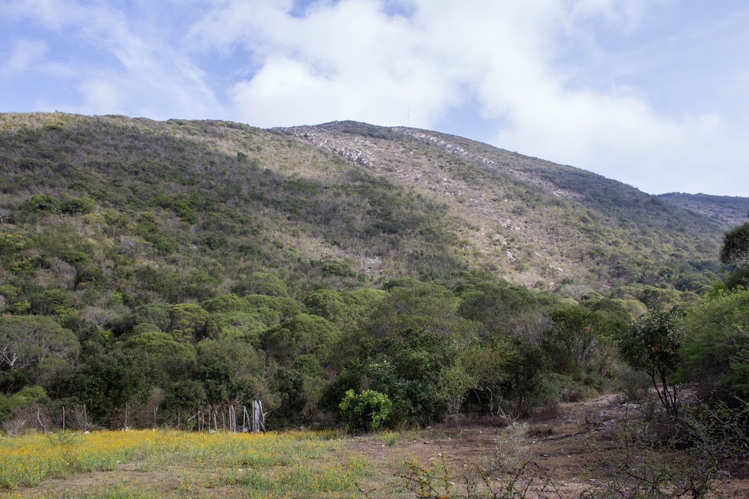 El Cerro Grande