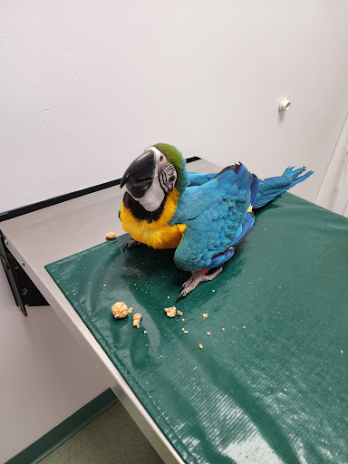 2245 Providence Hwy, Walpole, MA 02081, USA