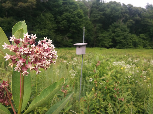 Non-Profit Organization «Museum of American Bird Art at Mass Audubon», reviews and photos, 963 Washington St, Canton, MA 02021, USA