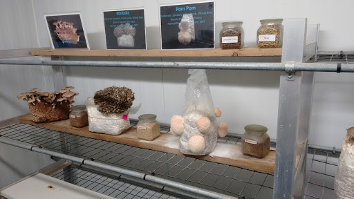 Produce Market «The Woodlands at Phillips», reviews and photos, 1020 Kaolin Rd, Kennett Square, PA 19348, USA