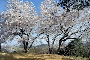 Amakashi-no-Oka Area in Asuka Historical National Government Park image