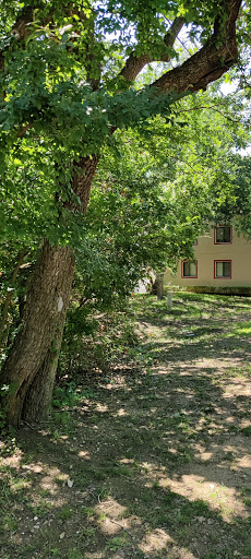 Credit Counseling Service «Integrity Debt Solutions-Texas», reviews and photos