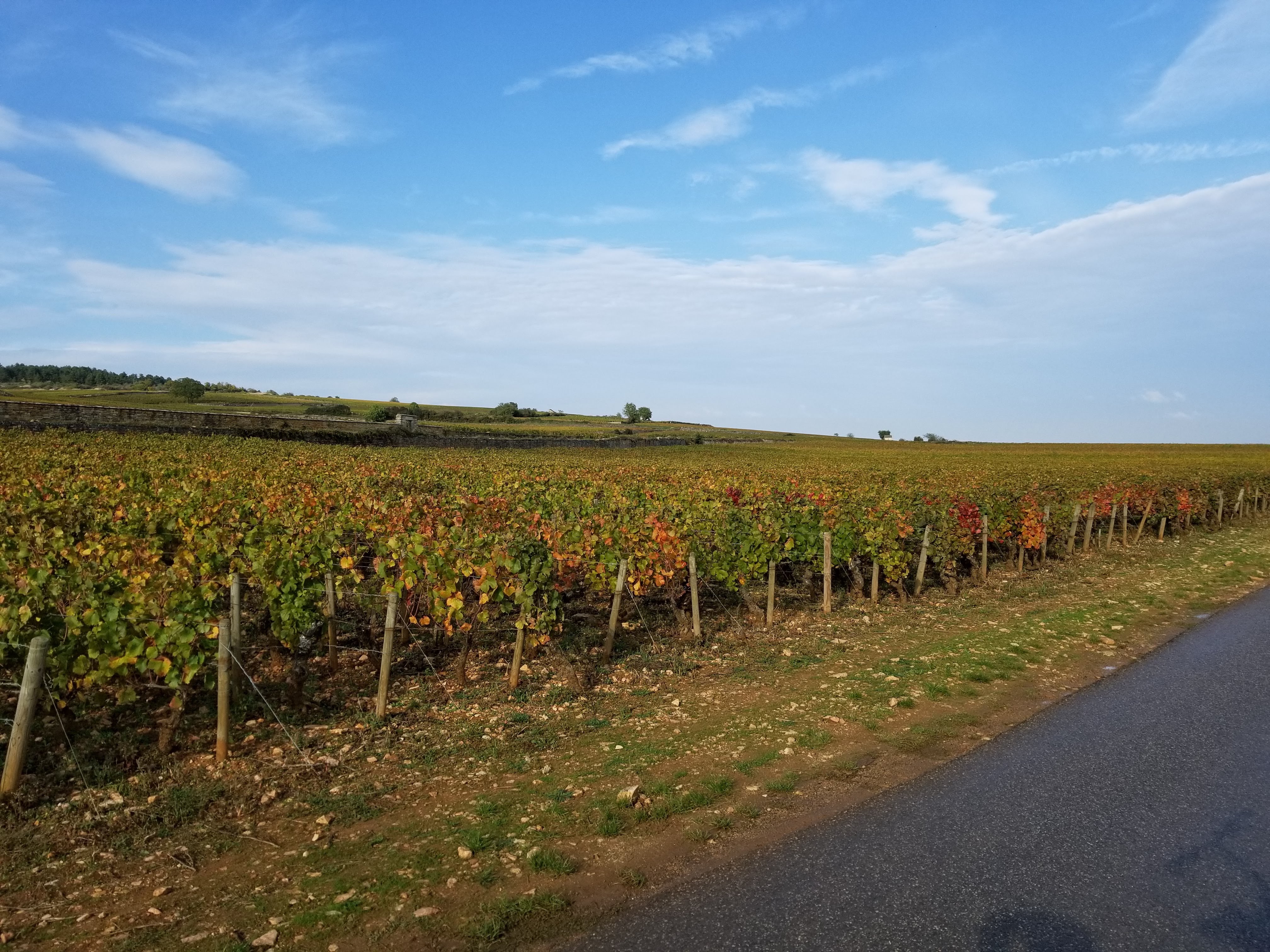 Photo n° 2 de l'avis de Ryan.o fait le 16/10/2019 à 13:15