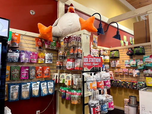 Florist «Petals & Paws», reviews and photos, 465 Albany Turnpike, Canton, CT 06019, USA