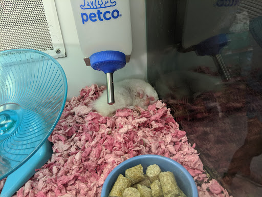 Pet Supply Store «Petco Animal Supplies», reviews and photos, 1150 El Camino Real #167, San Bruno, CA 94066, USA