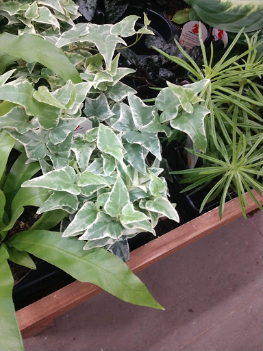 Home Improvement Store «The Home Depot», reviews and photos, 371 Putnam Pike, Smithfield, RI 02917, USA