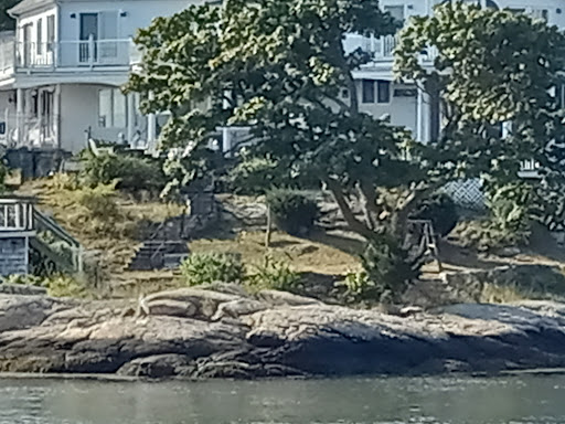 Park «Branford Point», reviews and photos, 4 Harbor St, Branford, CT 06405, USA