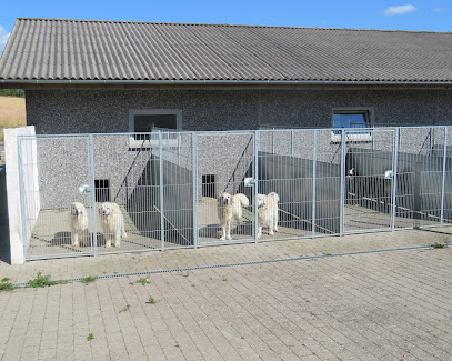 Elbjerglund's Hundepension