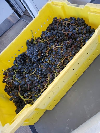 Winery «Big Cork Vineyards», reviews and photos, 4236 Main St, Rohrersville, MD 21779, USA