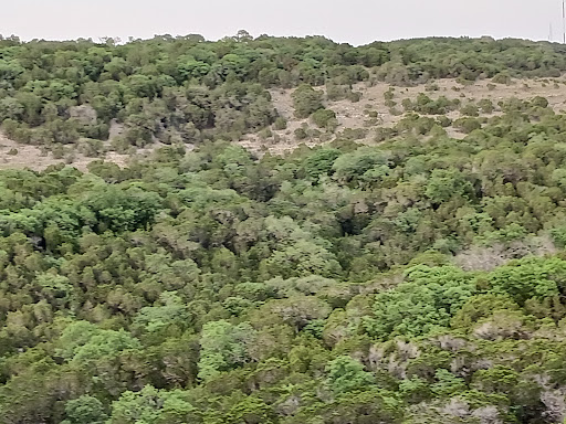 Park «Wild Basin Wilderness Preserve», reviews and photos, 805 N Capital of Texas Hwy, Austin, TX 78746, USA