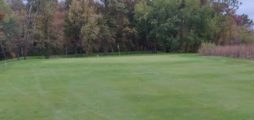 Golf Club «Pine Ridge Golf Club», reviews and photos, 34500 Hillcrest Rd, Motley, MN 56466, USA