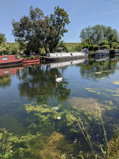 Marshes nearby Kingston-upon-Thames