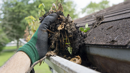 Gutter Cleaning Services