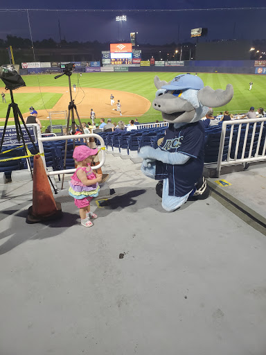 Stadium «Daniel S Frawley Stadium», reviews and photos, 801 Shipyard Dr, Wilmington, DE 19801, USA