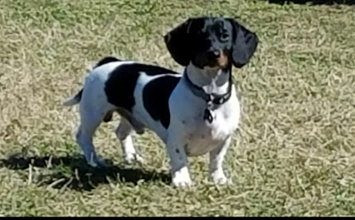 Park «Creekwood Park», reviews and photos, 7025 44th Ave E, Bradenton, FL 34205, USA